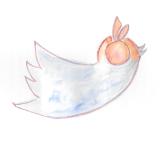 Twitter Vogel mit politikorange-Organge vor den Augen Zukunftsgezwitscher Grafik: Lilith Grull